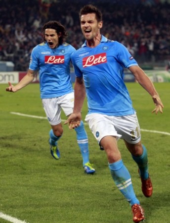 蓬勃发展的 蓬勃发展的